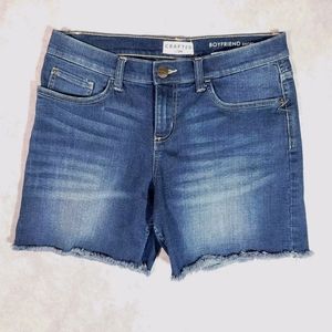 Crafted by Lee Boyfriend Short Shorts Distressed Women's Size 8